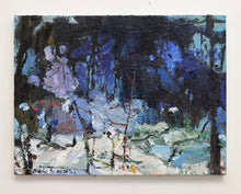 Load image into Gallery viewer, Winter Shadows