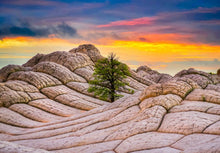 Load image into Gallery viewer, Lone Tree at Sunset
