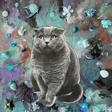 Load image into Gallery viewer, Do cats Dream of Flying Fish?