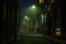 Load image into Gallery viewer, Nightcrawler