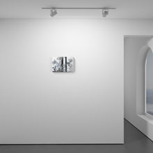 Load image into Gallery viewer, Agapanthus