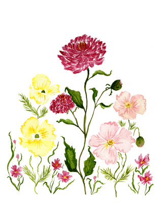 Dahlia Dream