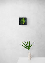 Load image into Gallery viewer, Firefly