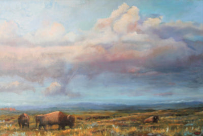 Buffalo Evening