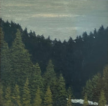 Load image into Gallery viewer, Jefferson River Canyon