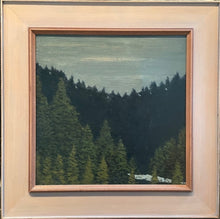 Load image into Gallery viewer, Jefferson River Canyon