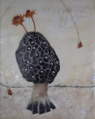 My Morel Life From March to May