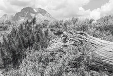 Load image into Gallery viewer, Grand Teton National Park