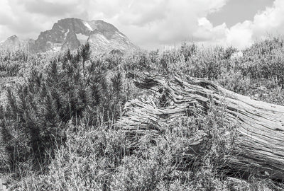 Grand Teton National Park