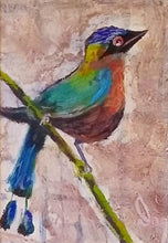 Load image into Gallery viewer, Motmot