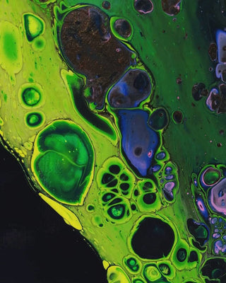 Collapsing Worlds