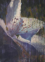 Load image into Gallery viewer, In Spring the wide, impulsive blossoms promise is of the fruit to come