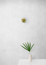 Load image into Gallery viewer, Townsend's Warbler