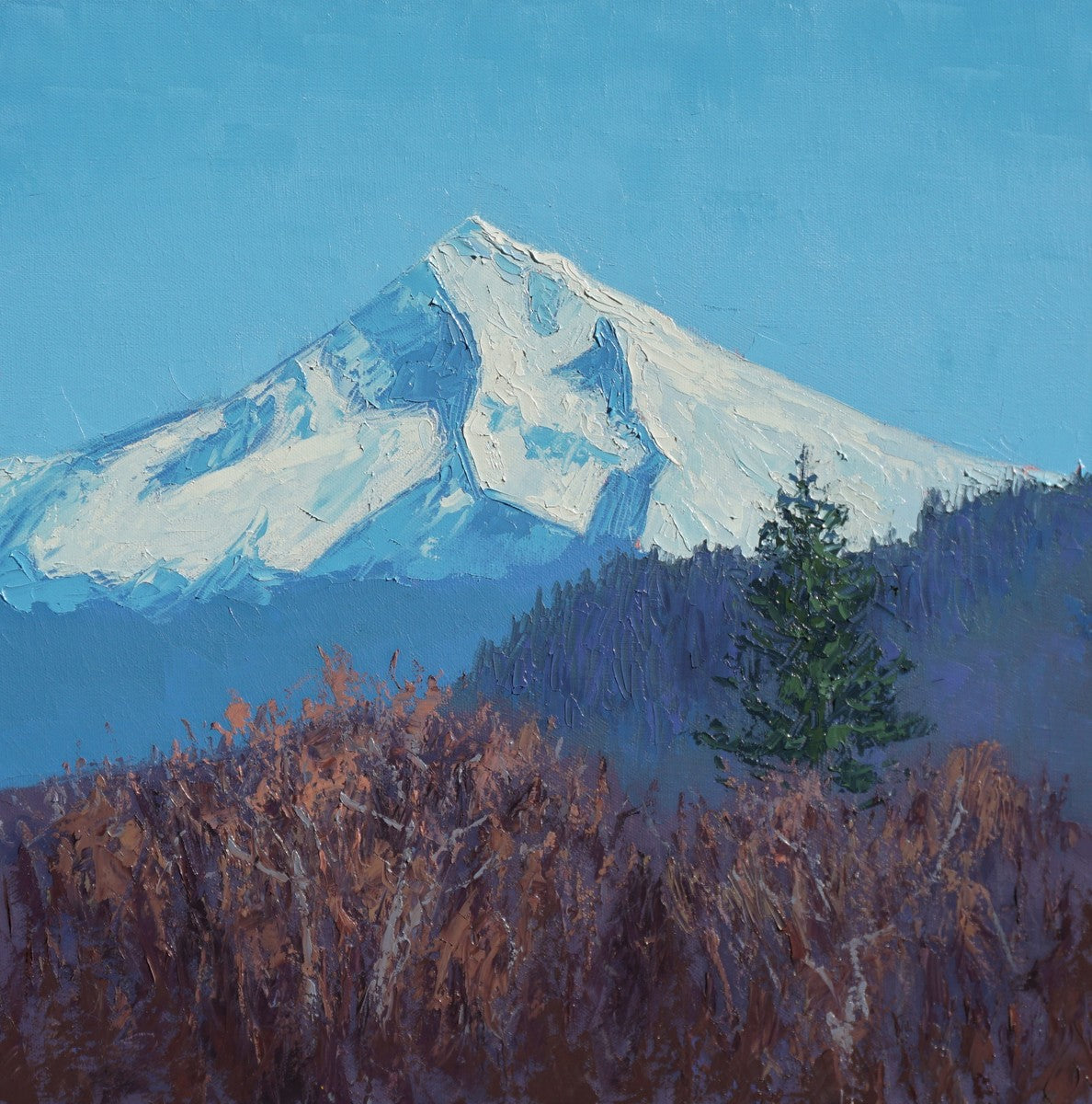 Landscapes