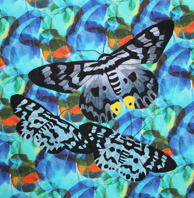 Blue Day Moth