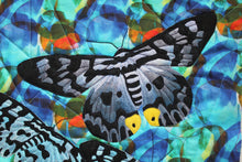 Load image into Gallery viewer, Blue Day Moth