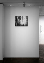 Load image into Gallery viewer, Broken Tree