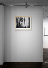 Load image into Gallery viewer, Broken Tree