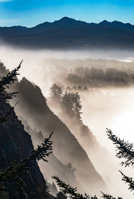 Foggy Coast