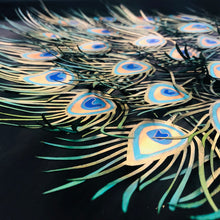 Load image into Gallery viewer, Feathers II