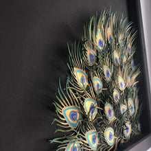 Load image into Gallery viewer, Feathers II
