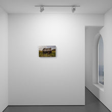 Load image into Gallery viewer, Abandoned History