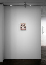 Load image into Gallery viewer, Awestruck