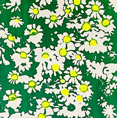 White Daisies