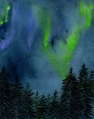 Northern Lights 5