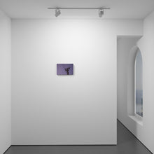 Load image into Gallery viewer, Lavender Haze