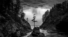 Load image into Gallery viewer, Dead Man's Cove