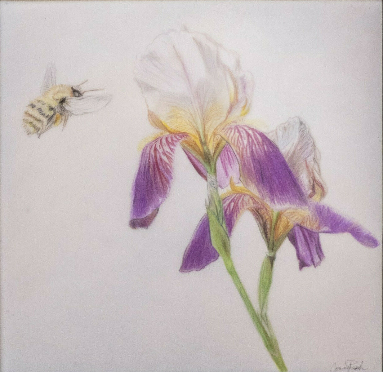 Connie Resch