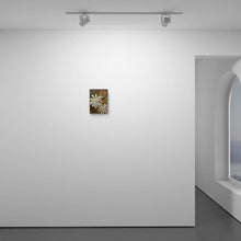 Load image into Gallery viewer, The morning light is just slipping in front of the stars as you unfold for me