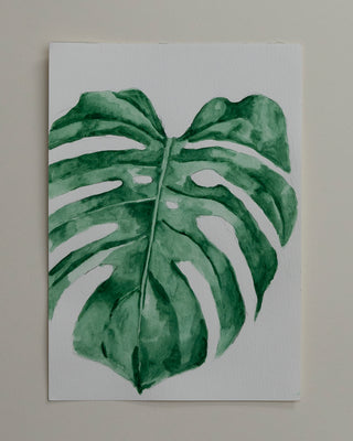 Monstera