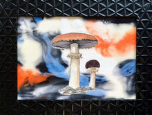 Load image into Gallery viewer, Regals, Pretties, and She's Fire Red