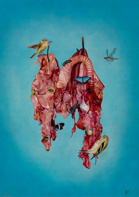 Meat Portrait II (Daniel)