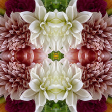 Load image into Gallery viewer, Symmetry - 2 Dahlias