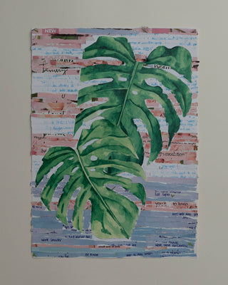 Monstera fragmented Red and Purple