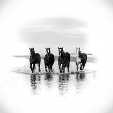Load image into Gallery viewer, Running Wild