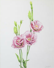 Load image into Gallery viewer, Wildflowers