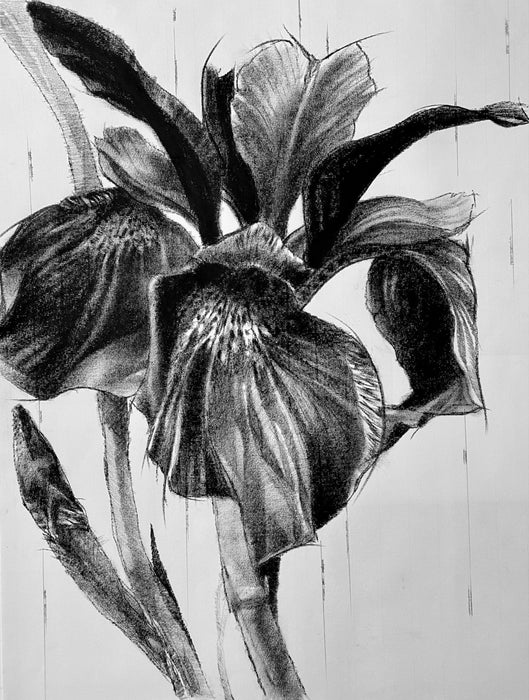 From the center of my life came deep blue shadows on azure seawater.