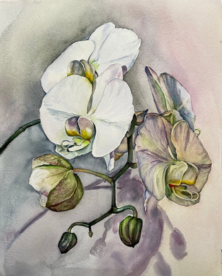 White Orchid #5