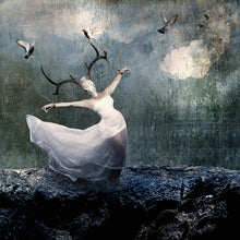 Load image into Gallery viewer, Taken to the Sky