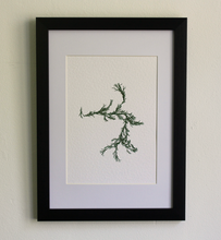 Load image into Gallery viewer, Sargassum II (Systems' Garden series)