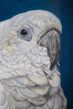 Load image into Gallery viewer, The Laureat