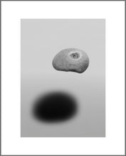 Load image into Gallery viewer, Floating Rock 2