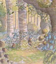 Load image into Gallery viewer, hide and seek in bluebell woods