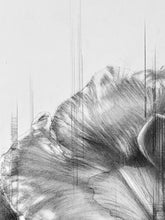 Load image into Gallery viewer, First white blossoms lie soft against desiccated winter bed