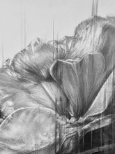 Load image into Gallery viewer, First white blossoms lie soft against desiccated winter bed