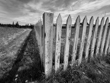 Load image into Gallery viewer, San Juan Island, American Camp